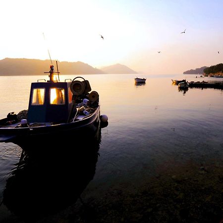 Villa St Vitus Dubrovnik Dış mekan fotoğraf